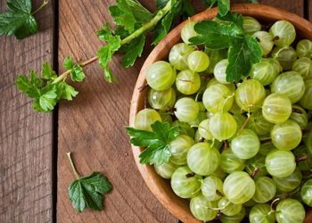 How Many Amla To Eat In A Day?