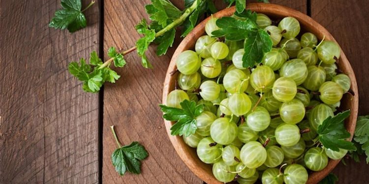 How Many Amla To Eat In A Day?