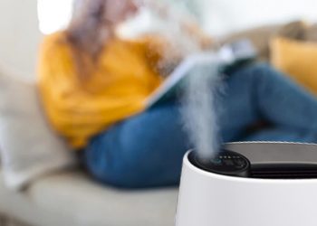 Vestige Sharp Air Purifier